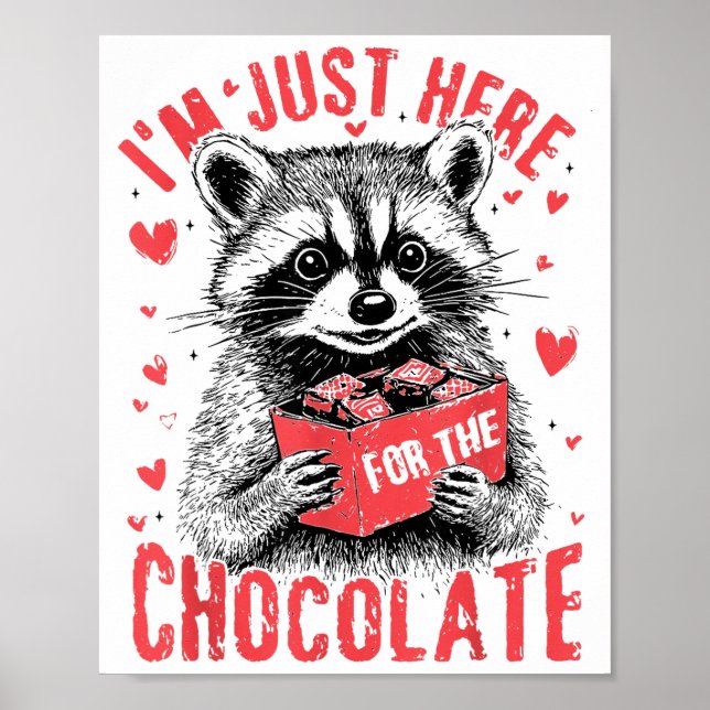 I'm Just Here For The Chocolate Funny Raccoon Vale Poster (Framsidan)