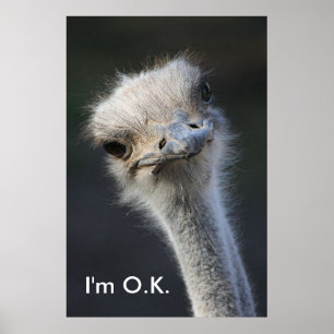 Im O.K. Poster