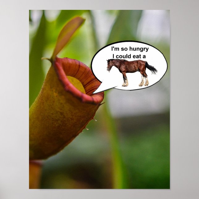 I'm so hungry I could eat a horse. Poster (Framsidan)