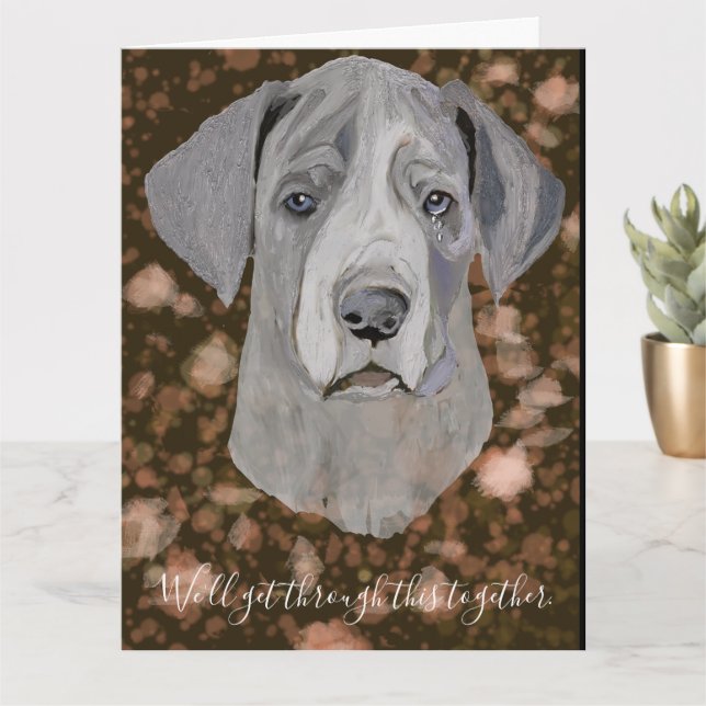 I'm Sorry. We'll Get Through This Together Kort (Liten växt)