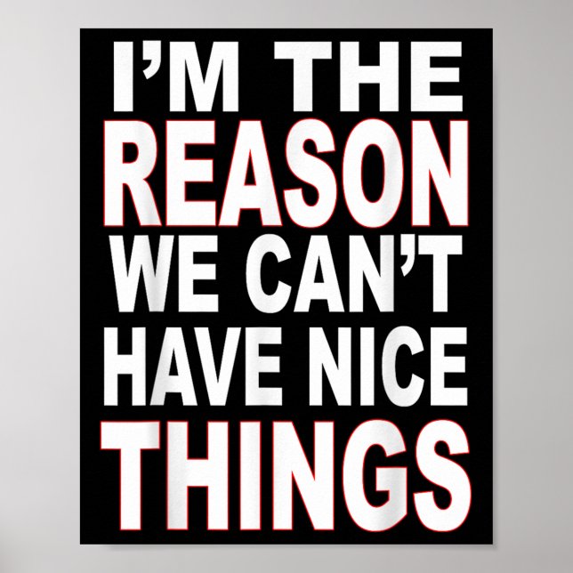 I'm The Reason We Can't Have Nice Things Funny  Poster (Framsidan)