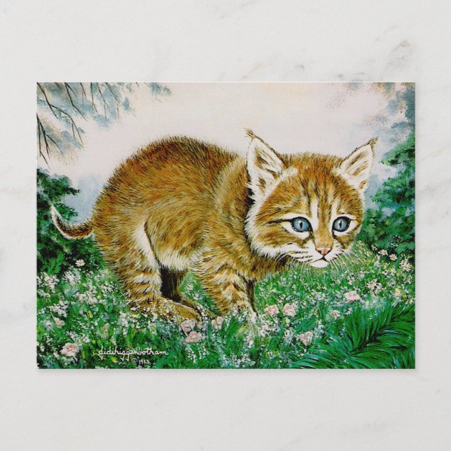 Ima Bobkitty Vykort (Framsida)