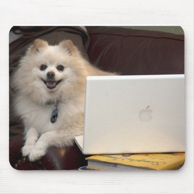 iMac Pomeranian Musmatta (Framsidan)