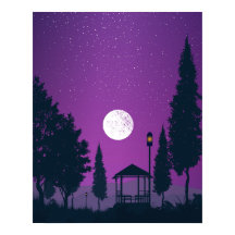 Imagem Noturna com uma bela lua