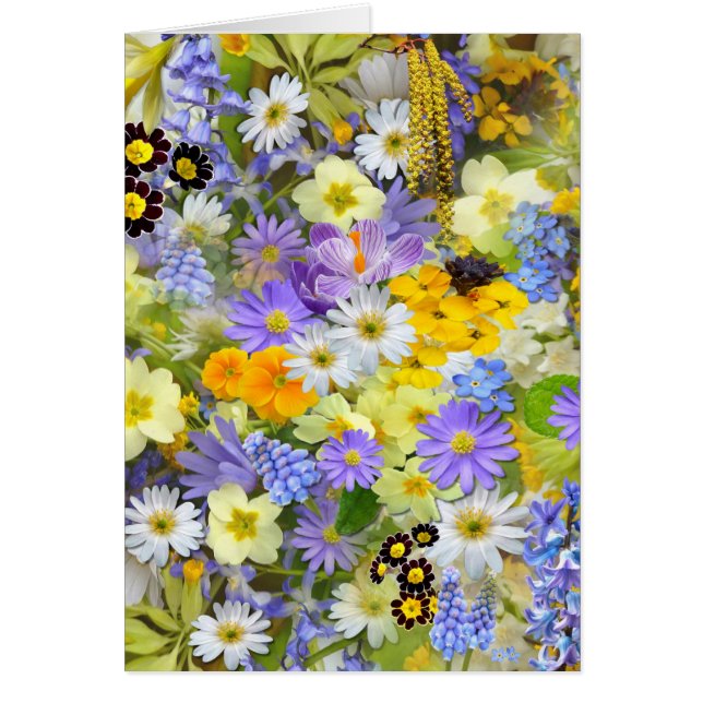 imagens com flores OBS kort (Framsidan)