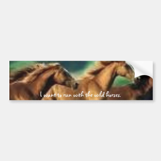 images6 önskar jag att köra med vildhorses.na bildekal (Framsidan)