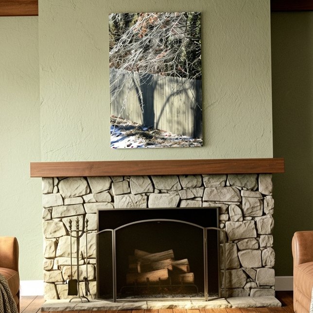 Imaginary Shadow Winter Tree Fine Art Photography Canvastryck (Skapare uppladdad)