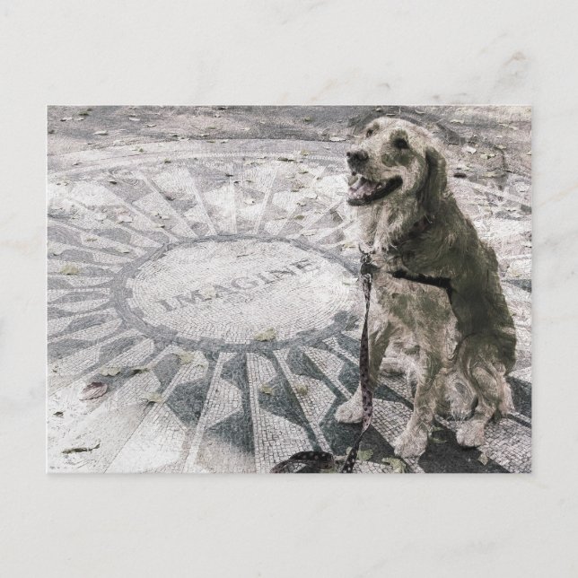 ’Imagine’ alias ’Golden in Strawberry Fält’ Vykort (Framsida)