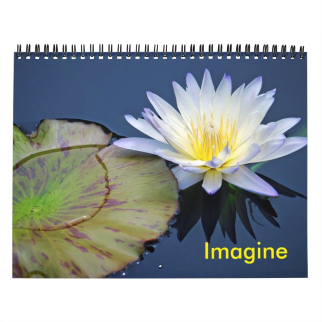 Imagine Vatten Lilies Calendar Kalender (Omslag)