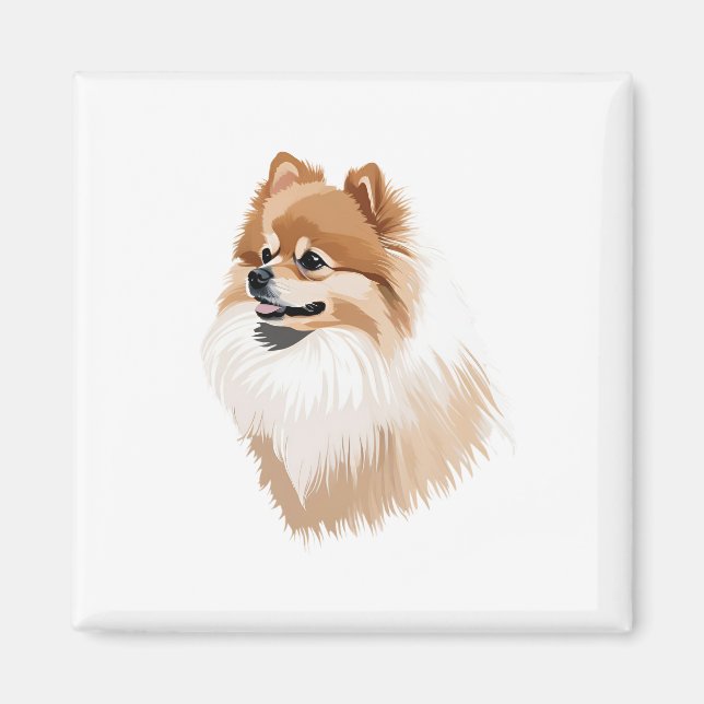 Imán ilustración perro pomerania magnet (Framsidan)