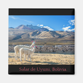 Imán, Llamas Salar de Uyuni, Bolivia Magnet