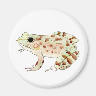 Imán Rana Leopardo Magnet