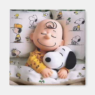 imanes decorativos magnet