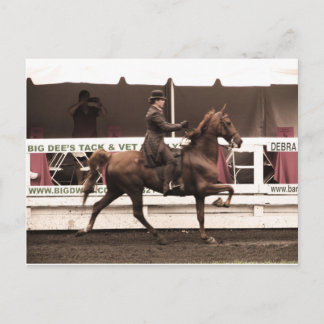 IMG_0065-kopia Vykort