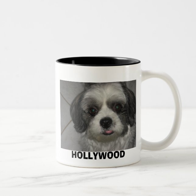 IMG_0157 HOLLYWOOD Två-Tonad MUGG (Höger)