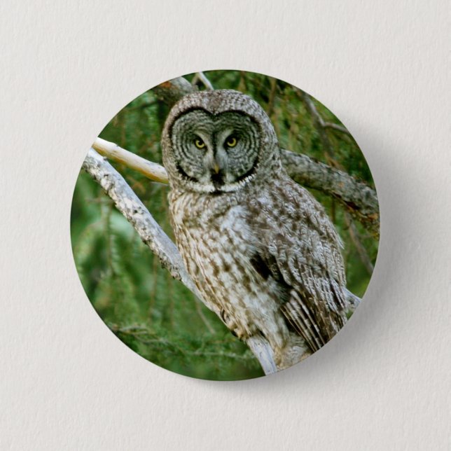 IMG_0297_2 KNAPP (Framsida)