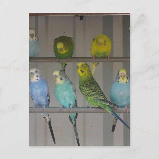 IMG_0348 VYKORT (Framsida)