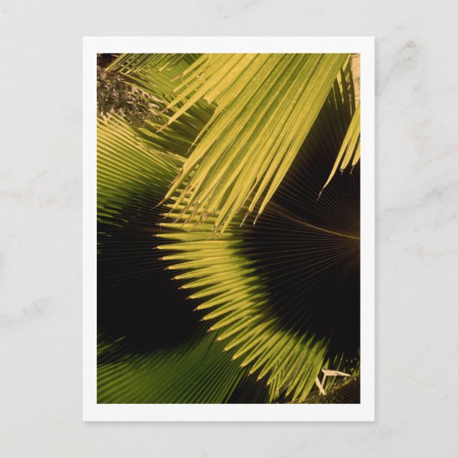 IMG_0453 VYKORT (Framsida)