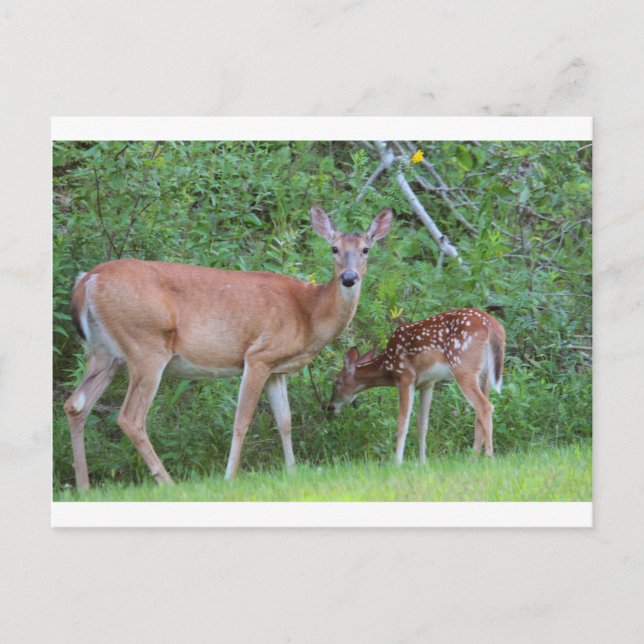 IMG_0494_1 VYKORT (Framsida)