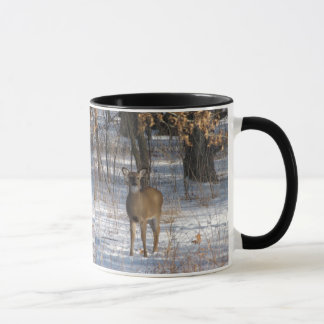 IMG_0532 IMG_0532 MUGG
