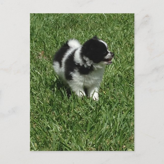 IMG_0545.JPG VYKORT (Framsida)