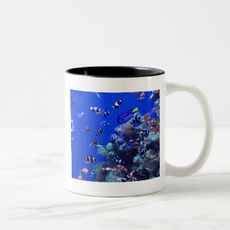 IMG_0829 Två-Tonad MUGG