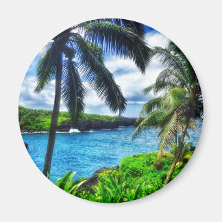 IMG_1122 4 Shahaiian Scene Black Sand Beach Magnet