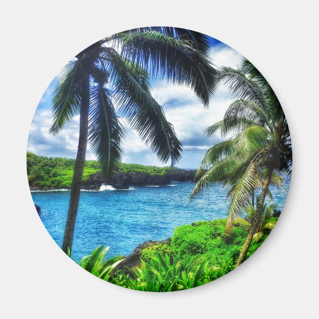 IMG_1122 4 Shahaiian Scene Black Sand Beach Magnet (Framsidan)