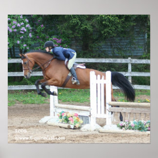 Img-1160-Poster Poster