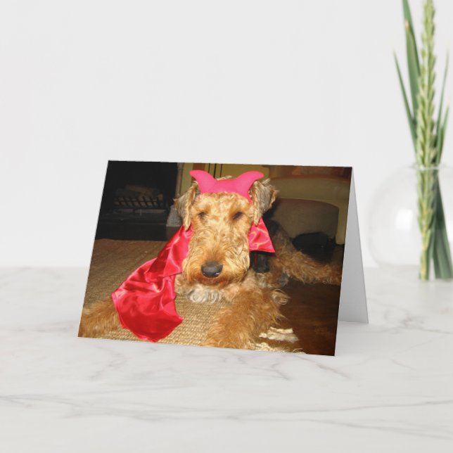 IMG_1191 KORT (Framsida)