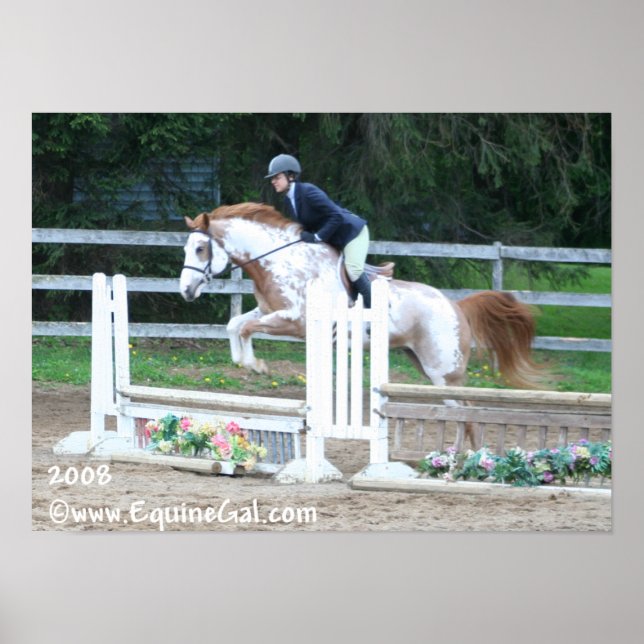 Img-1193 Poster (Framsidan)