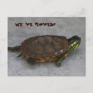 IMG_1195, VI HAR FLYTTAT! MEDDELANDE VYKORT