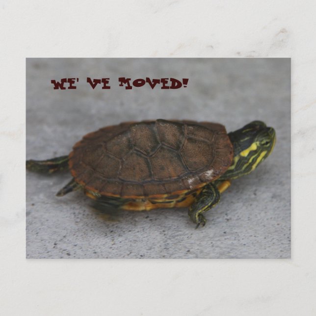 IMG_1195, VI HAR FLYTTAT! MEDDELANDE VYKORT (Framsida)