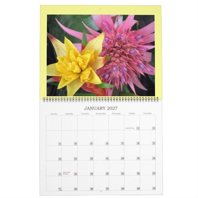 IMG_1311, 2008 CALENDER KALENDER (Jan 2027)