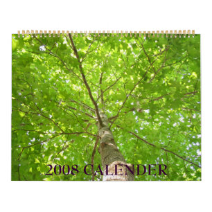 IMG_1311, 2008 CALENDER KALENDER