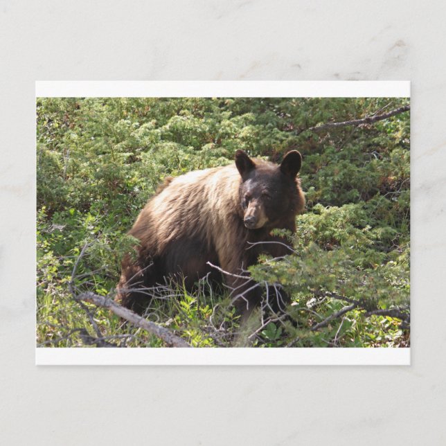 IMG_1319_1 VYKORT (Framsida)