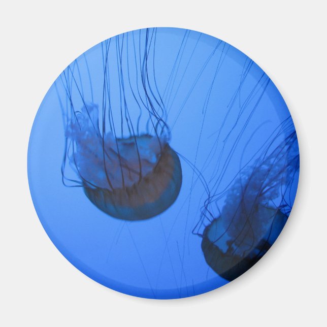 IMG_1319 MAGNET (Framsidan)