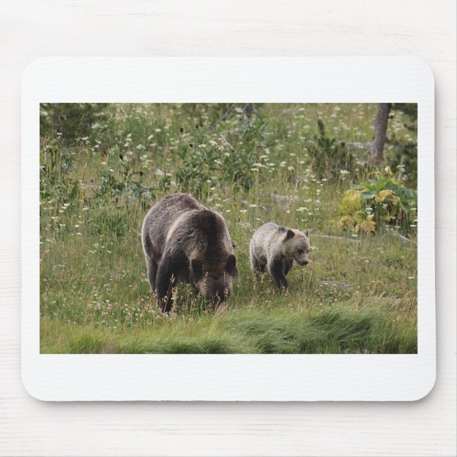 IMG_1328_1 MUSMATTA (Framsidan)