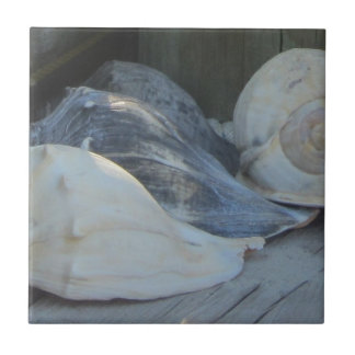 IMG_1498 (3) .jpg Kakelplatta