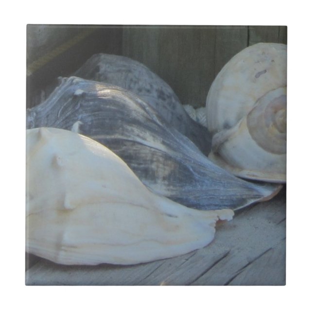 IMG_1498 (3) .jpg Kakelplatta (Framsidan)