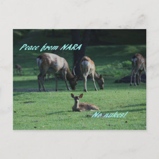 IMG_1652 NARA VYKORT