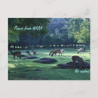 IMG_1664 NARA VYKORT