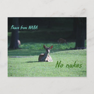 IMG_1713 nara Vykort