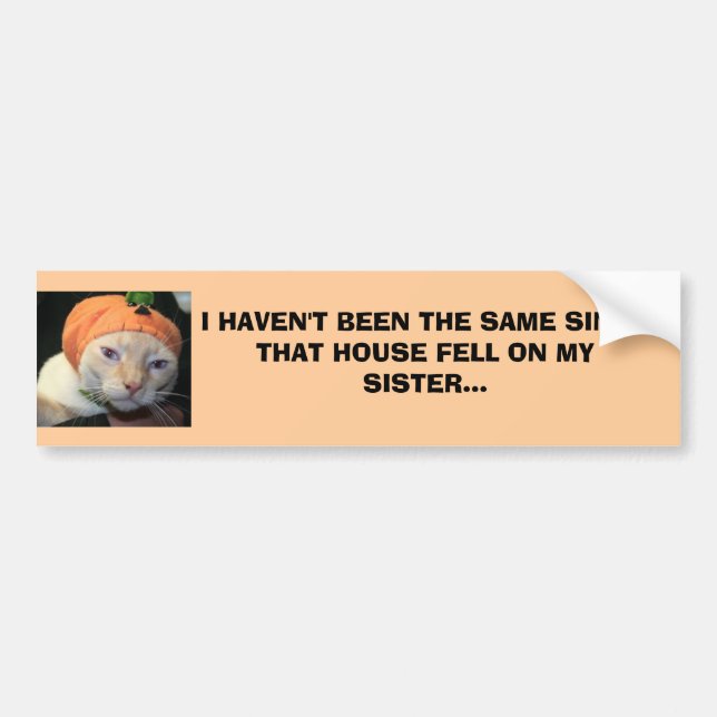 IMG_2073 HAR JAG INTE VARIT DEN SAMMA SINCETHATEN BILDEKAL (Framsidan)