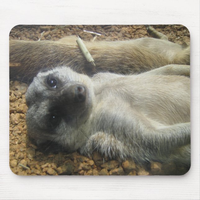 IMG_2196 MUSMATTA (Framsidan)