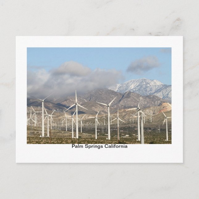 IMG_2436, Handflatan Vår Kalifornien Vykort (Framsida)