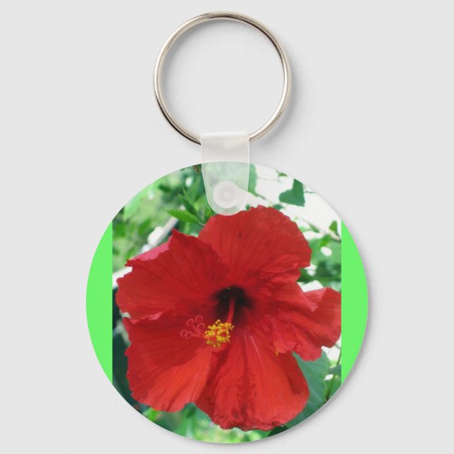 IMG_2905_edited Nyckelring (Framsida)