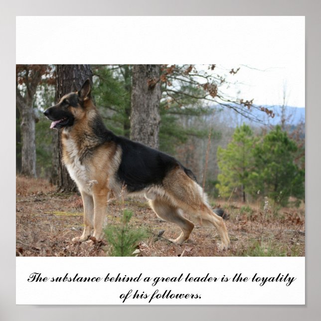 IMG_3539, Innehållet bakom en underbar ledare är.. Poster (Framsidan)