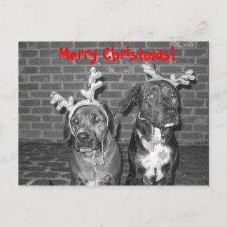 IMG_3721_2, God jul! Helg Vykort