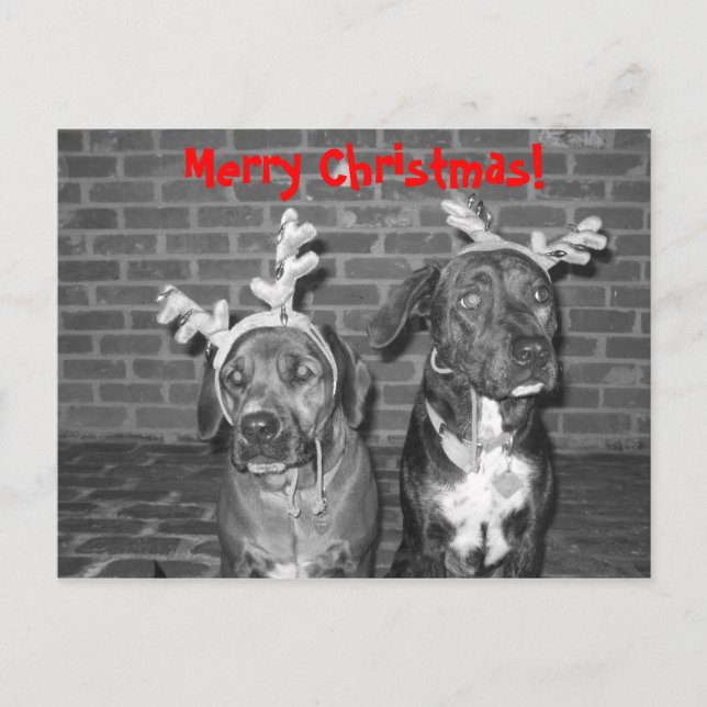 IMG_3721_2, God jul! Helg Vykort (Framsida)